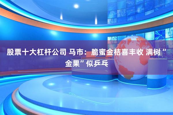 股票十大杠杆公司 马市：脆蜜金桔喜丰收 满树“金果”似乒乓